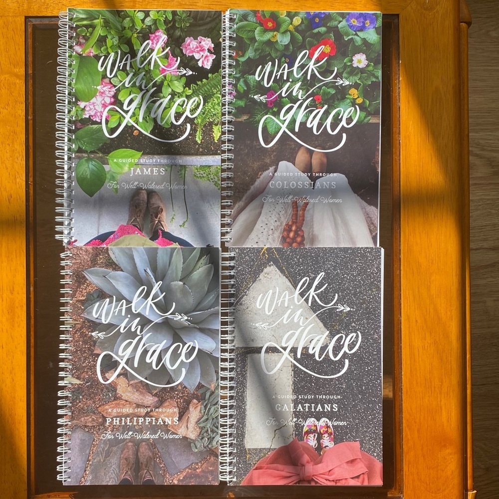 Walk in Grace Bible Study Lot